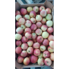 Яблоки напрямую от производителя с Краснодарского Края